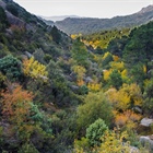 Otoño en La Pedriza