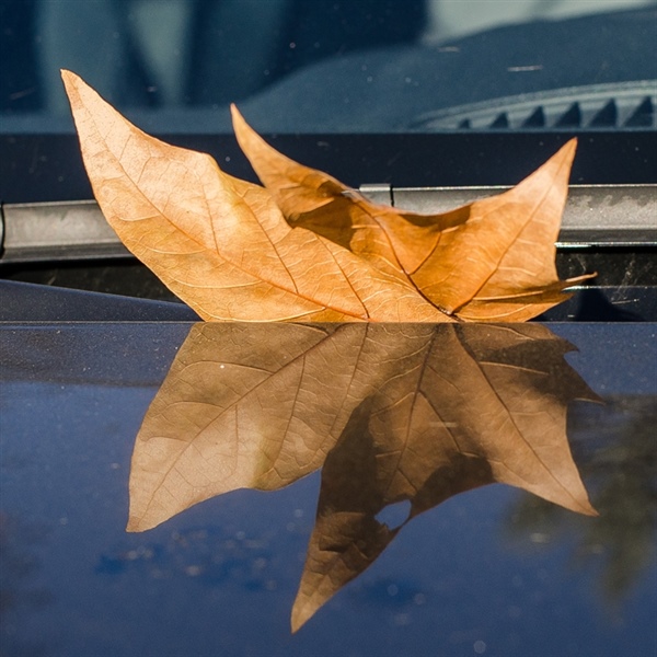 Otoño en invierno